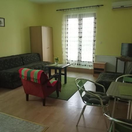 Apartments Hadzi Soko Banja Luaran gambar