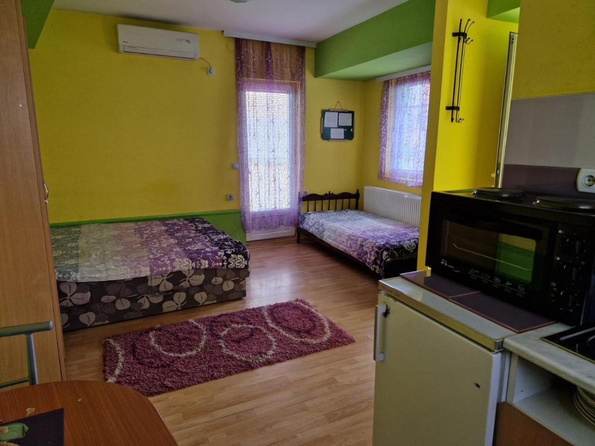 Apartments Hadzi Soko Banja Luaran gambar