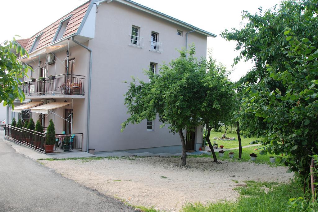 Apartments Hadzi Soko Banja Luaran gambar